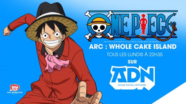 Adn One Piece : Arc 1 Fans de One Piece, dites-nous tout ! - Yatta! by ADN